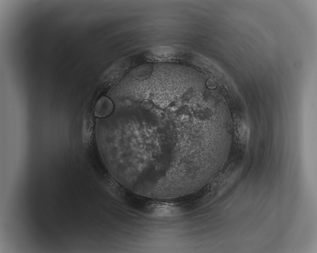 X0000102400507200808081307