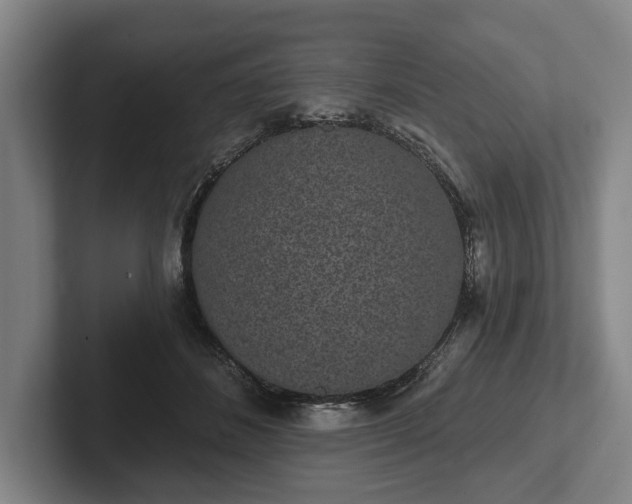 X0000102400508200808081307