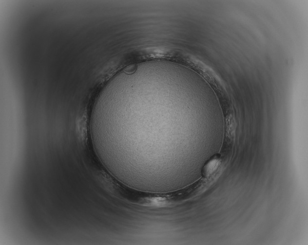 X0000102400509200808081307