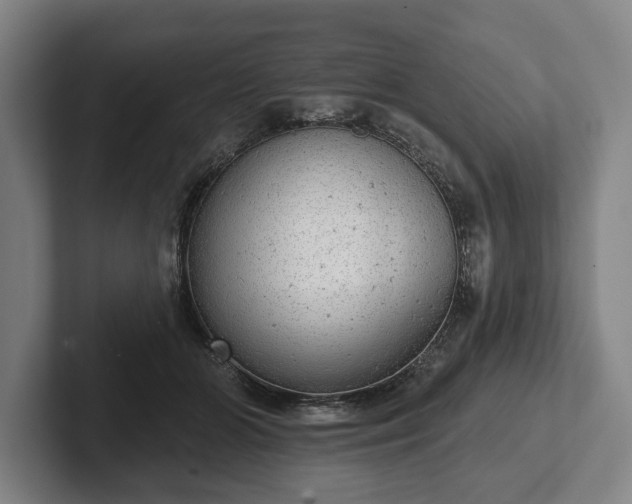 X0000102400510200808081307