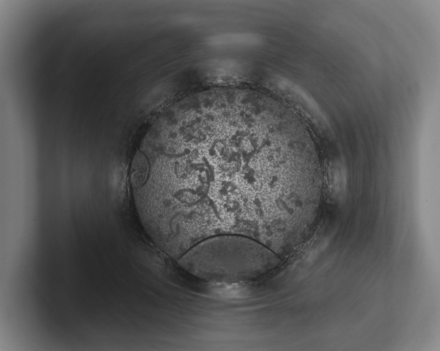 X0000102400511200808081307