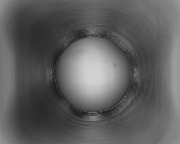 X0000102400514200808081307