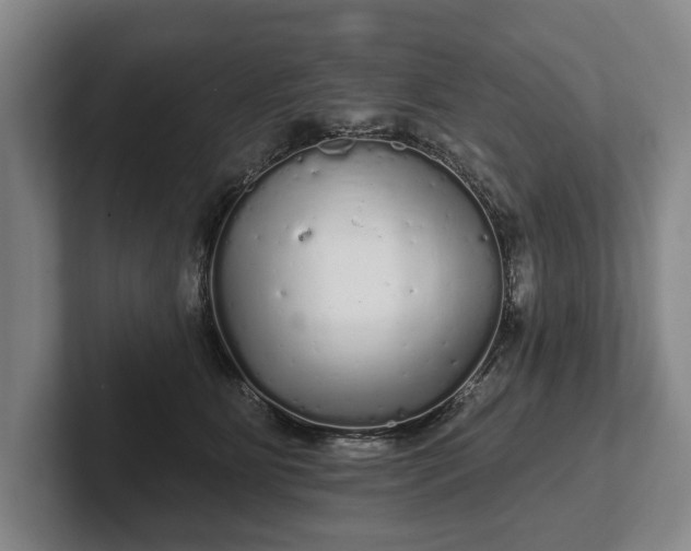 X0000102400515200808081307