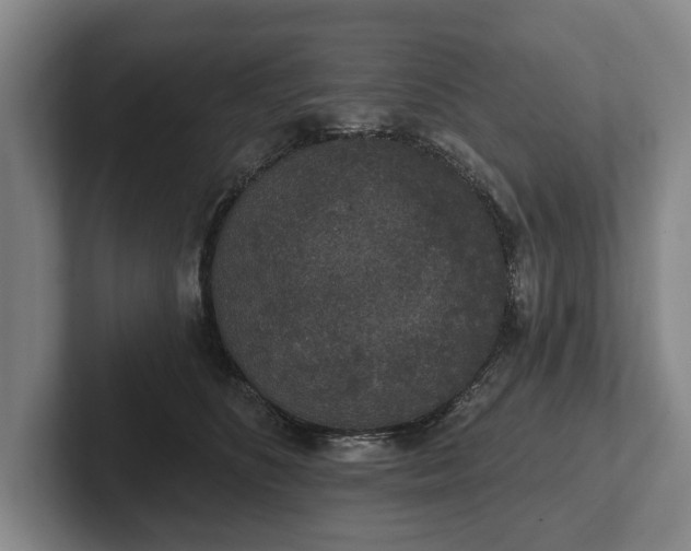 X0000102400516200808081307