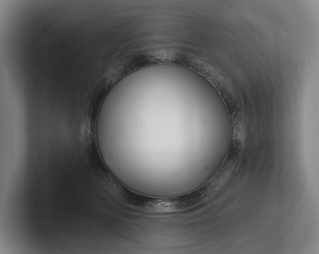 X0000102400518200808081307