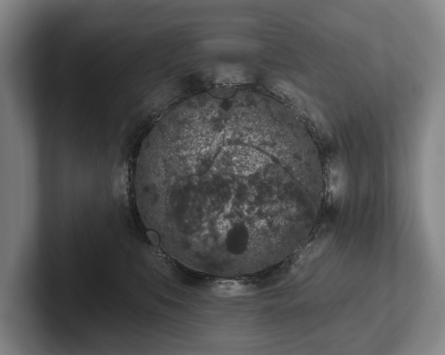 X0000102400519200808081307