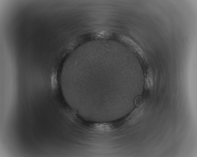 X0000102400520200808081307