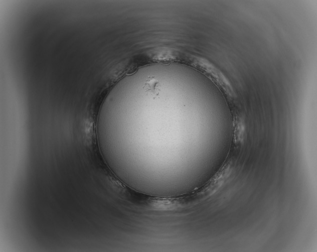 X0000102400521200808081307