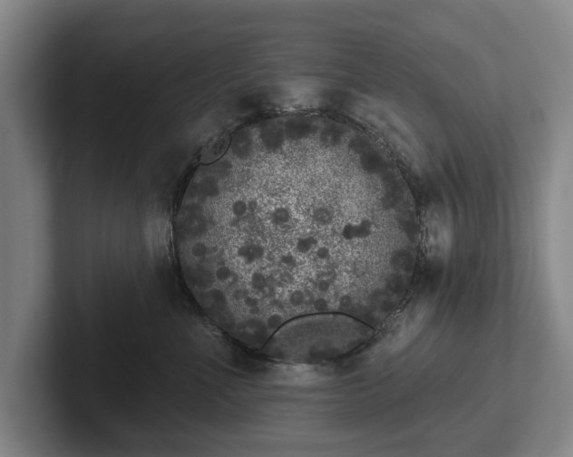 X0000102400523200808081307