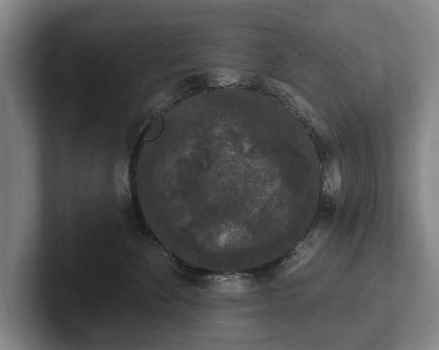 X0000102400524200808081307