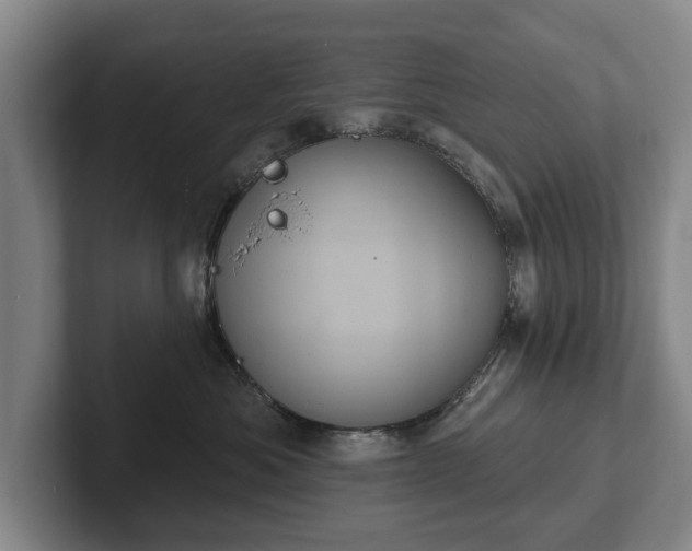 X0000102400525200808081307