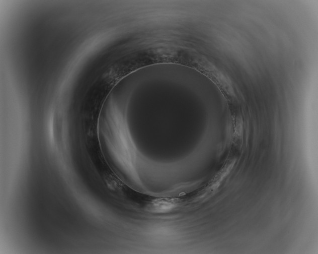 X0000102400526200808081307