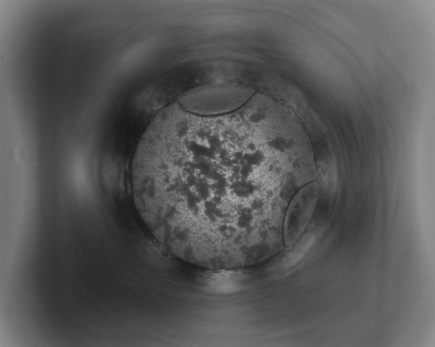 X0000102400527200808081307