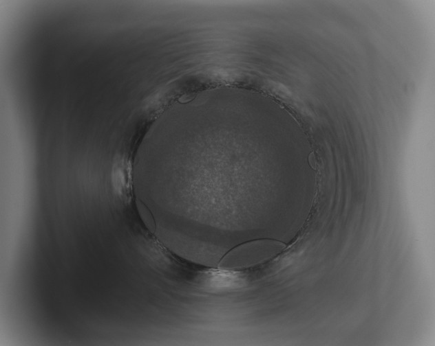 X0000102400528200808081307