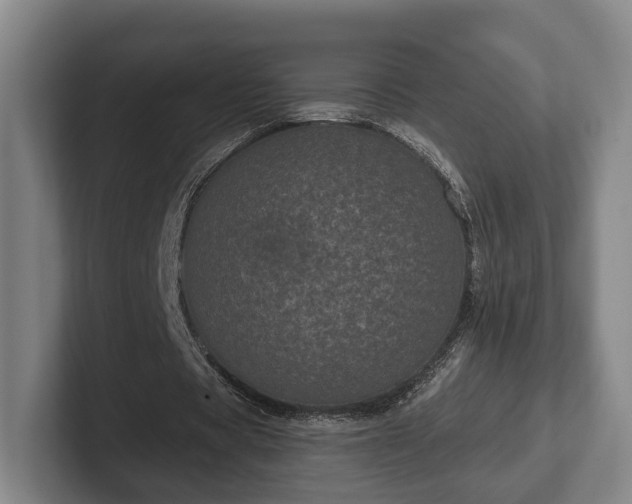 X0000102400529200808081306