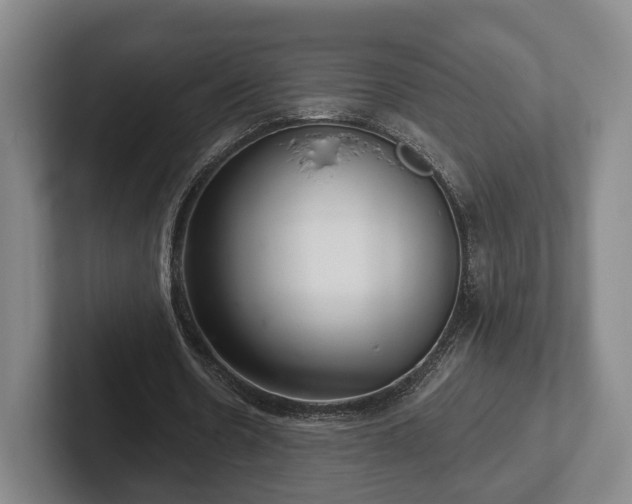 X0000102400530200808081306