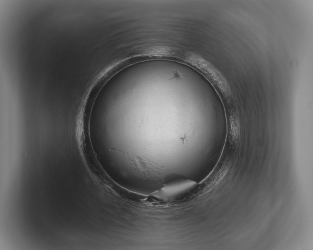 X0000102400532200808081306