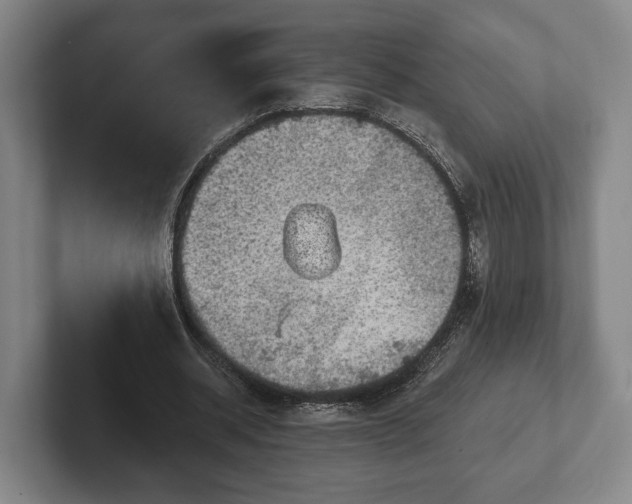 X0000102400534200808081306