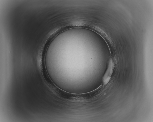 X0000102400535200808081306