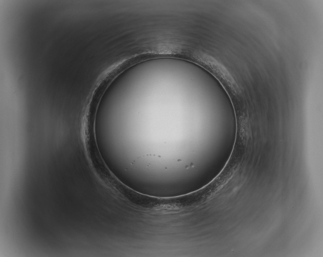 X0000102400536200808081306