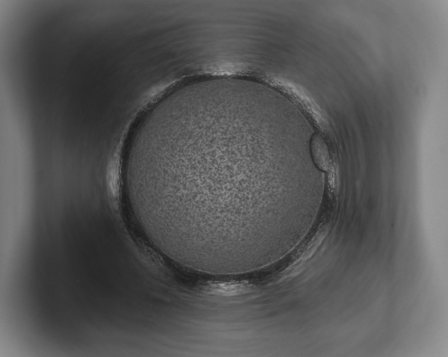 X0000102400540200808081306