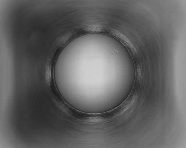 X0000102400541200808081306