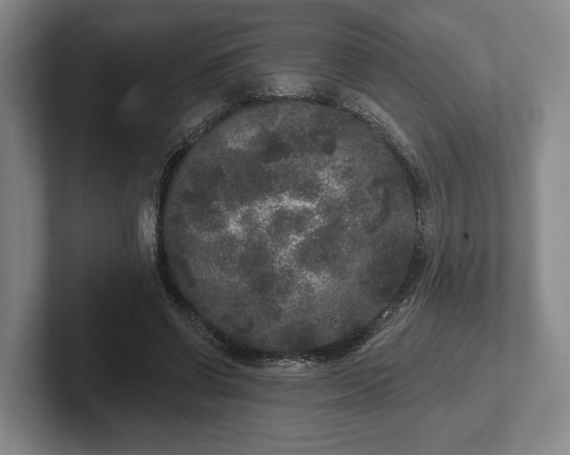 X0000102400542200808081306