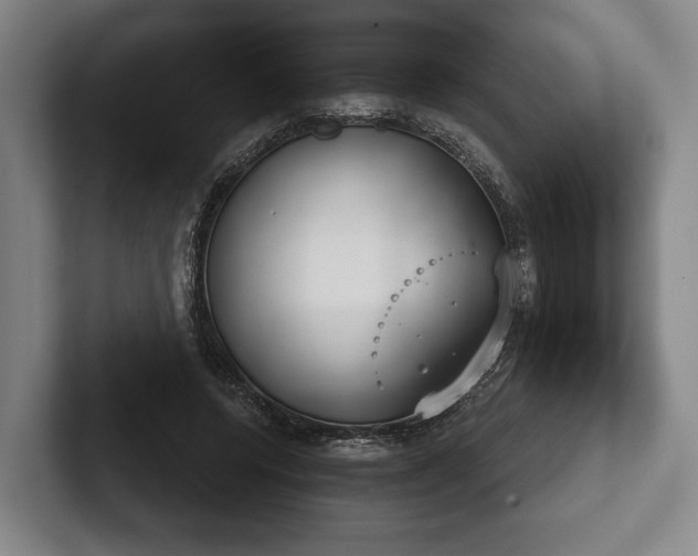 X0000102400544200808081306