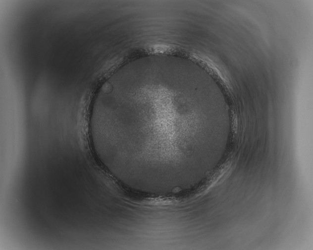 X0000102400545200808081306