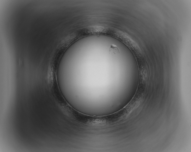 X0000102400546200808081306