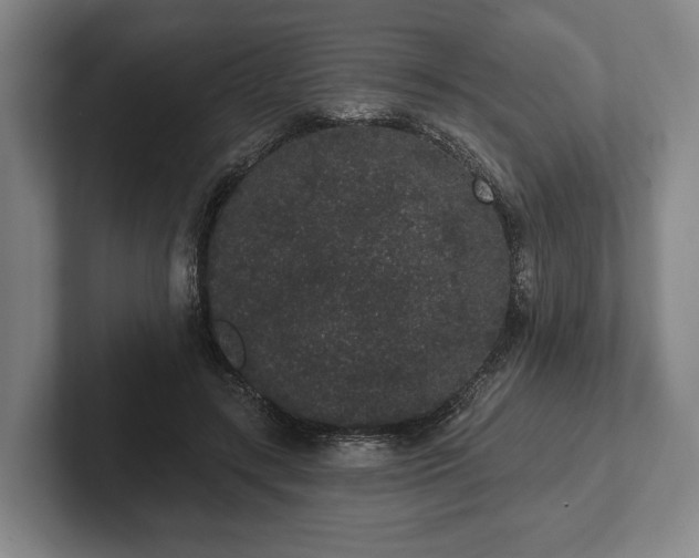 X0000102400547200808081306