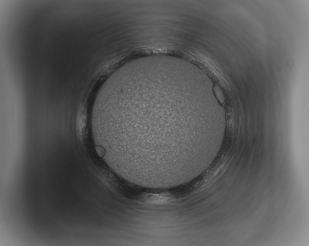 X0000102400548200808081306