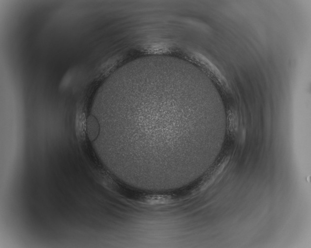 X0000102400549200808081306