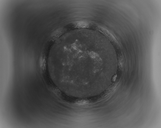 X0000102400551200808081306