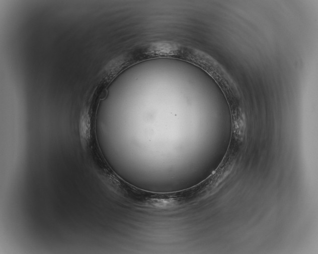 X0000102400552200808081306