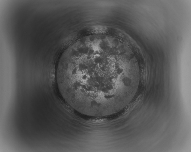 X0000102400553200808081306