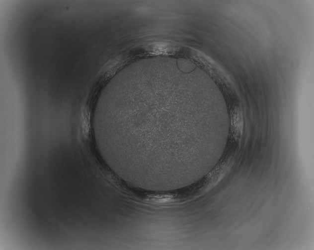 X0000102400554200808081306