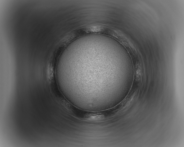 X0000102400555200808081306