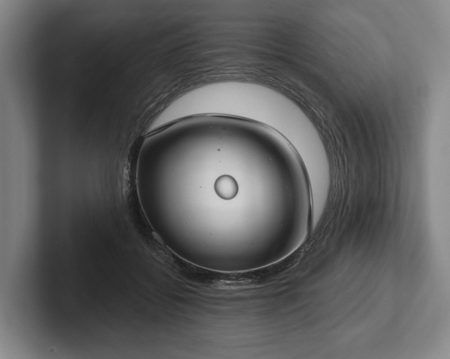 X0000102400556200808081306