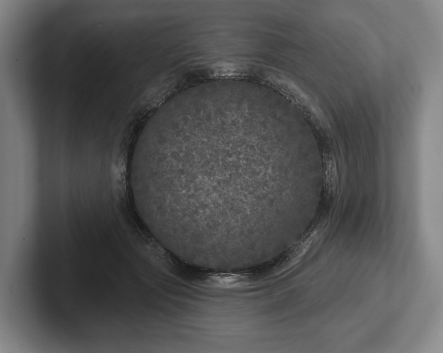 X0000102400557200808081307