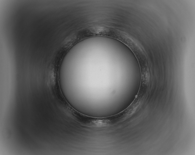 X0000102400558200808081307