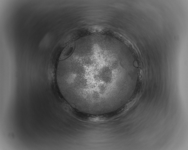 X0000102400561200808081307