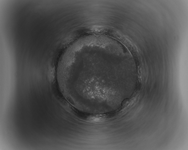 X0000102400563200808081307