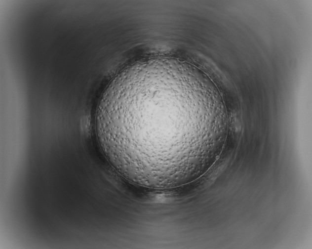 X0000102400564200808081307