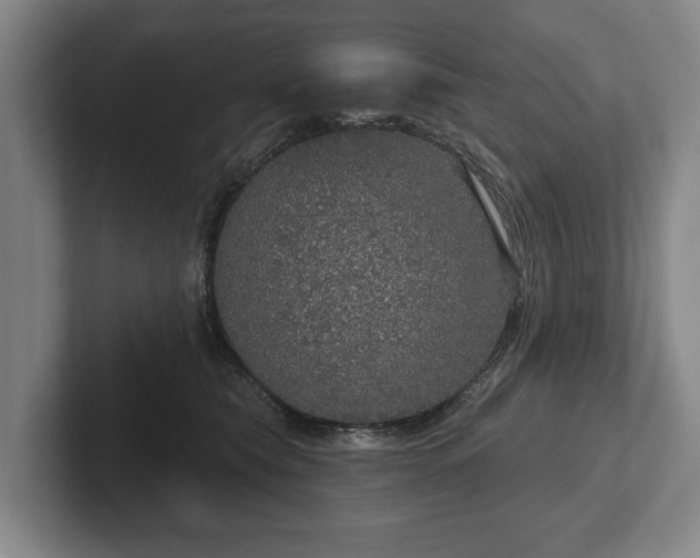 X0000102400565200808081307