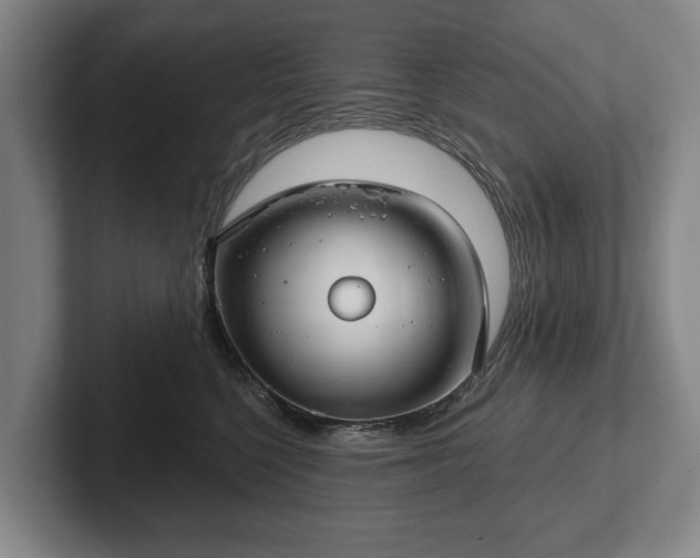 X0000102400568200808081307