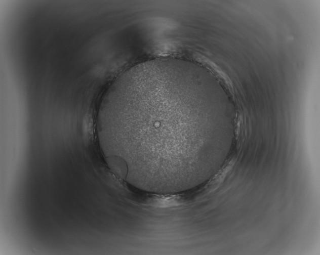 X0000102400569200808081307