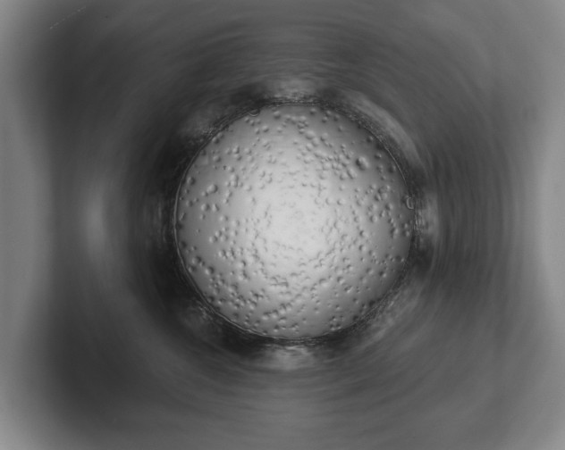 X0000102400572200808081307