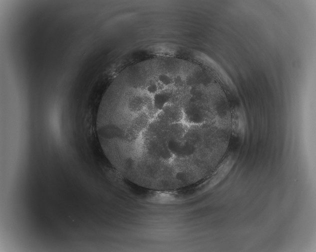 X0000102400573200808081307