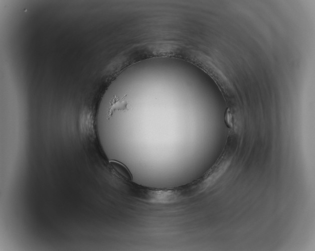 X0000102400575200808081307